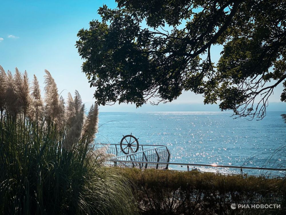 � ������������� ������� ������ "�����" �������� ������ ��������������� ��������