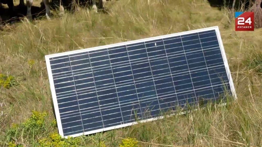 Студенты аграрного университета имени Ворошилова посетили фермерское хозяйство «Крот» в Петровском Старобельского района