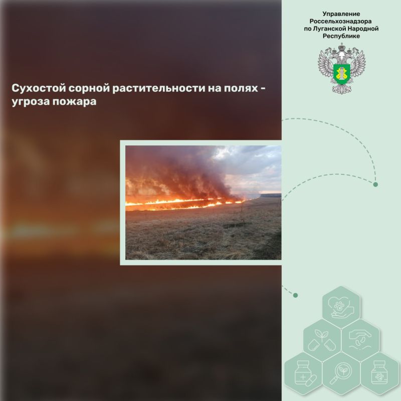 �������� ������ �������������� �� ����� � ������ ������