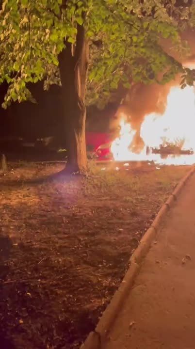 � ��� �������� �� ���� ���������� ���������� ������������ ������ � ���