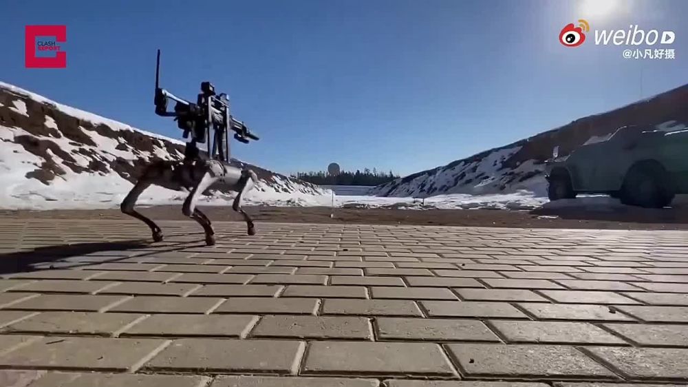 ������� ������� ������� ����