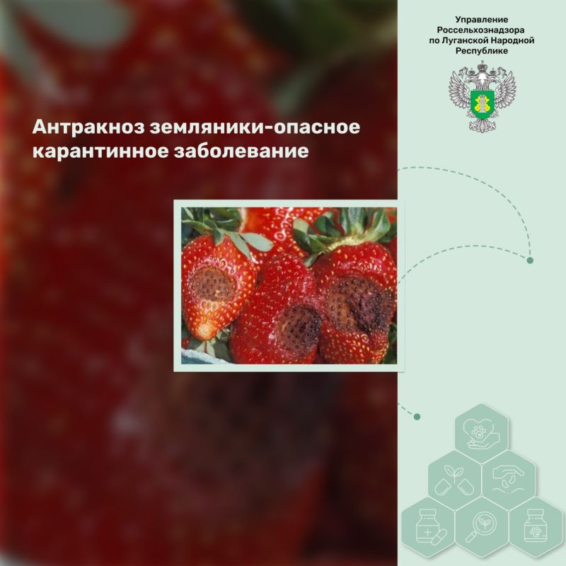 ��������� ���������-������� ����������� �����������