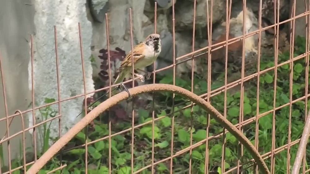 ������� � ������ � ��������