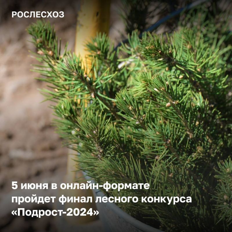 5 ���� �� ��������� ������-����� �������������� ���������� ������� �������� ����� ������������ 111 ������ ����� �� 53 ��������� ������