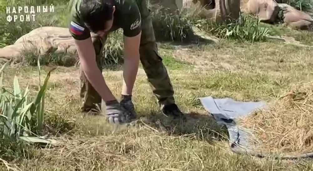 ���� ������. �������� ����� ��������� ������� �� ������������� ����� "������� ������� ���"