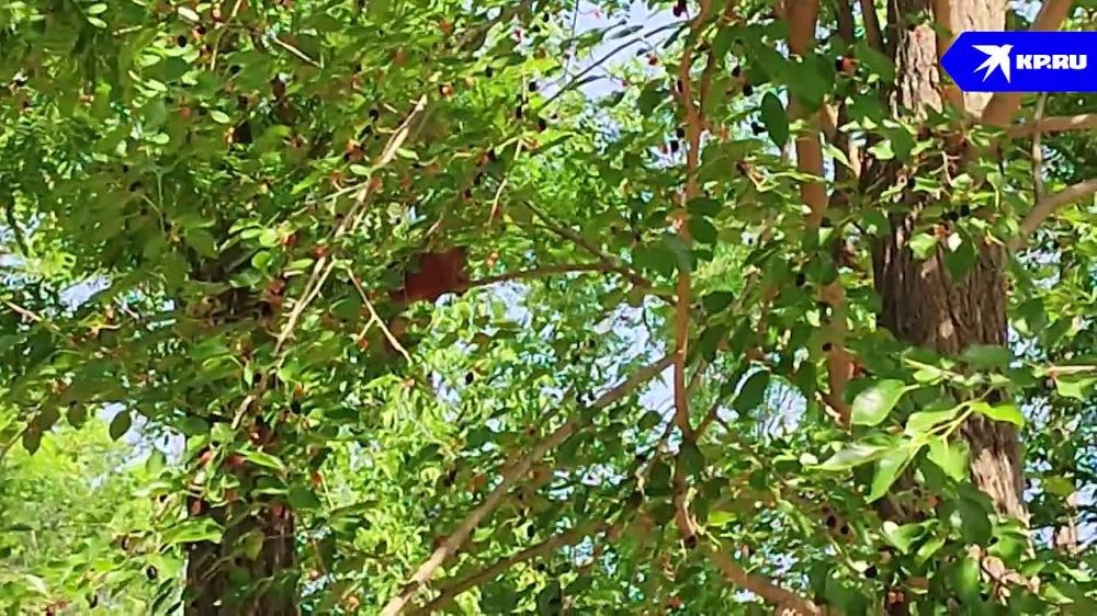 � ����� ����� �������� ����� ������� �� ��������� ����������