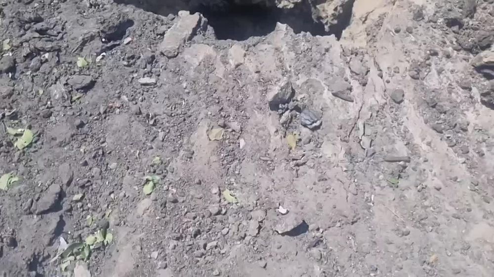 � ���������� ������� ����� �������� ����������� ��� �����, ��� �������, ������� � ���� �� �������� ������������ ���������� � ���������� �������� ��������, �������� ������