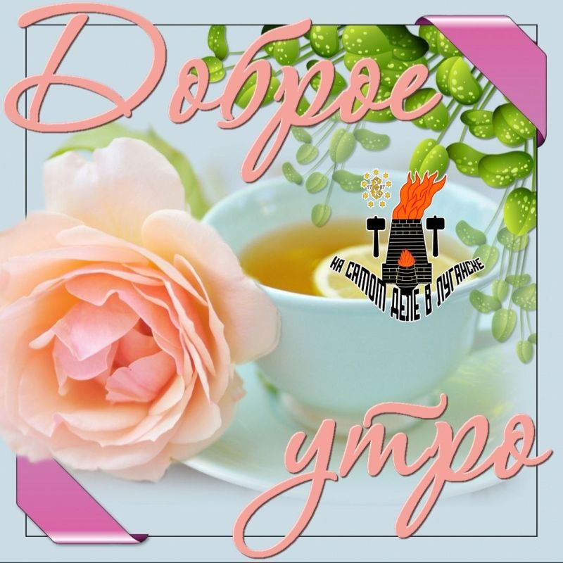 ������ ����, �������!. ������ � �������� � ��������� �������� ���������� ����������� ������� ��������� �� ���� 17 �������� �� ���� 29 ��������