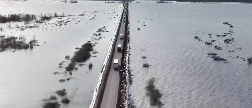 ���: �������� � 11 �������� �������� � �� ������������ ������ ����� ��������