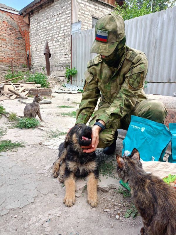 ���� ����� - ����� �� ������ �� ������, �� � � ����