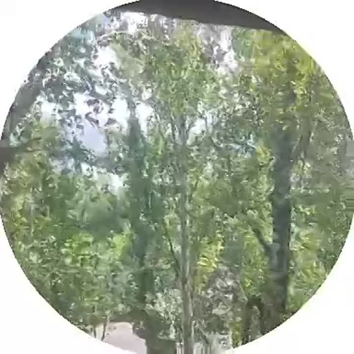 ������������� �������. �������� ������� ������� ����������� ����� �������, ������������ � ��������