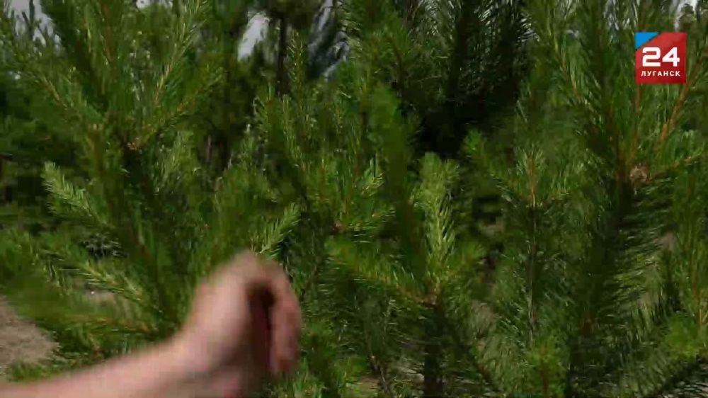 ��������-��������� ������������� ��������� ���������� ���������� ����������� ��������� ������� � ���������� ��������������� �����������