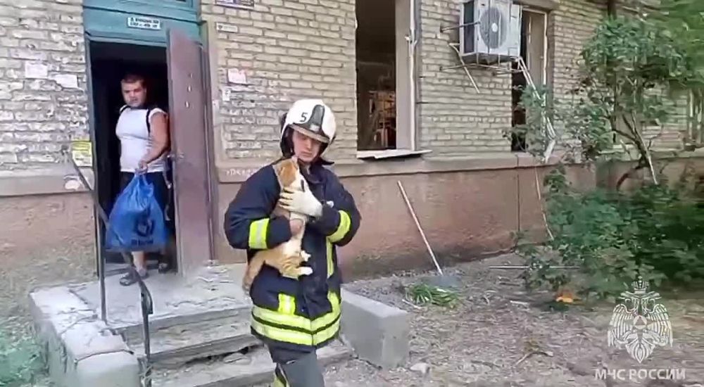 � ����������� ��������� �������� ���� � �������� �������� ��������, ��������� ��� ������ ����� ���� � �������� ��� �������