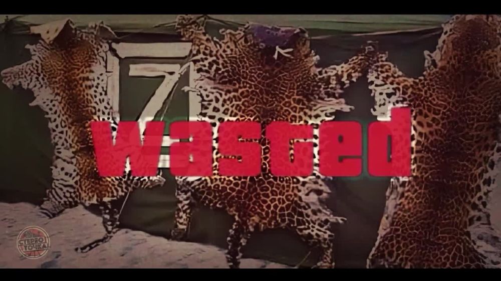 ��� ����� ������� ���������� ���������� "�����������" � ���������� ����� ������� ������� ������ ���������� ���������