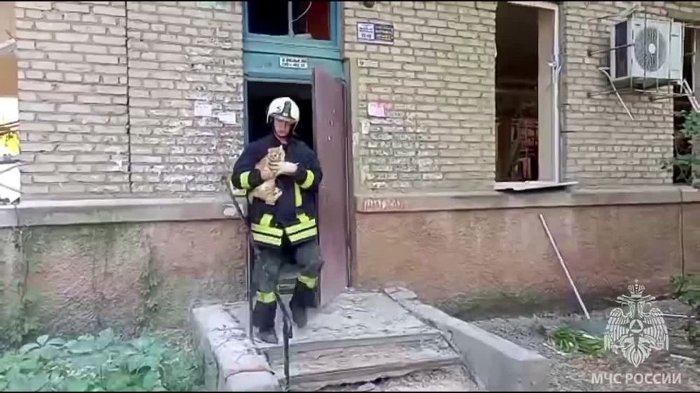 �������� ������������: ������������ ������ �� ���������� ����������� �������� ��� � ��������