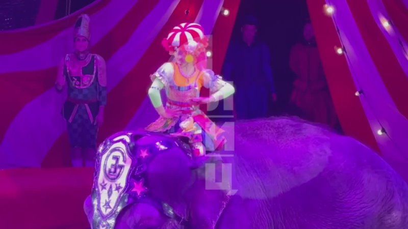 ������� ���� ��������� ������� ���� ��������, ������� ������ �� �������� ��� ��������� � ��������� �������