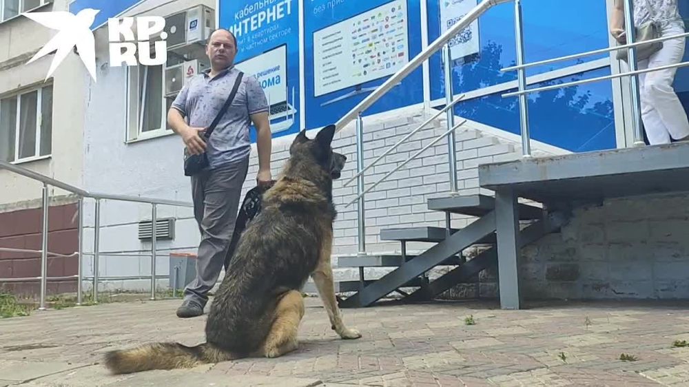 ������� ���-���. - ���������, � ���� � ����� �������� ����� �����, �� ����������, � ���� ����� ����������? - ����� ����� ��������? ������������ �� @kp_lnr