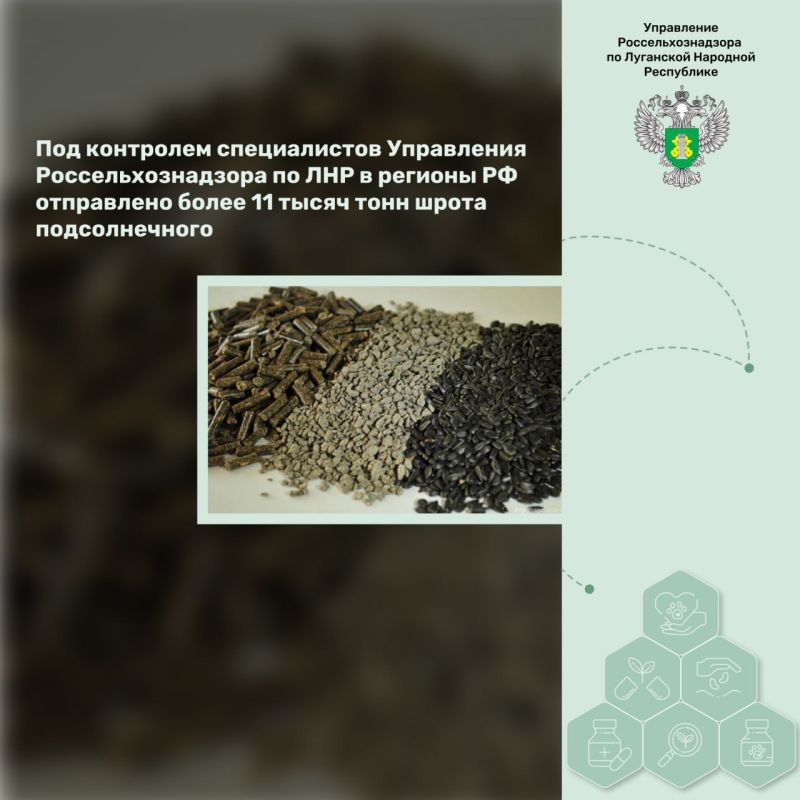 ��� ��������� ������������ ���������� ���c������������� �� ��� � ������� �� ���������� ����� 11 ����� ���� ����� �������������