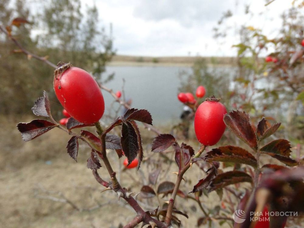 ������ �� ����� ����������� ������