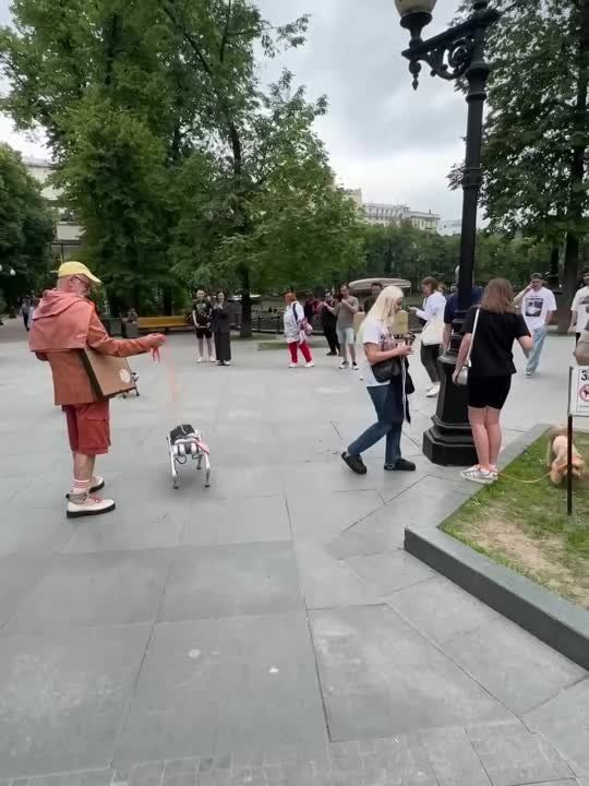 � ������ ���� ����������!