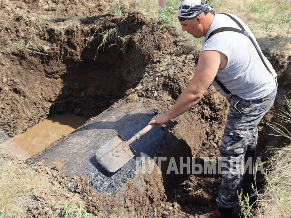 ����������� ��� ��� ������������ ��������� ������ �� ������������� �������� ���������������� � ����������