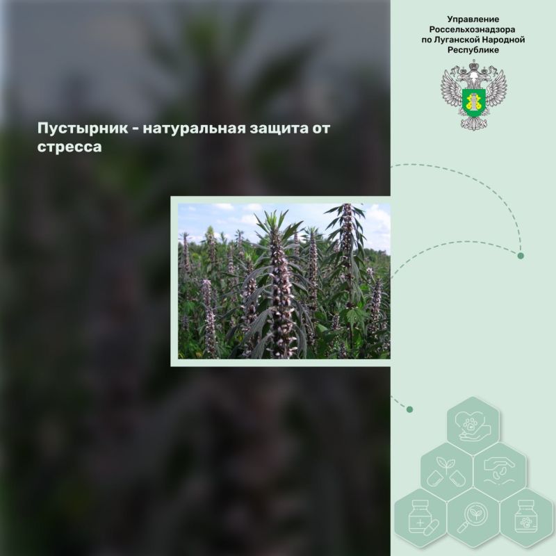 ��������� � ����������� ������ �� �������