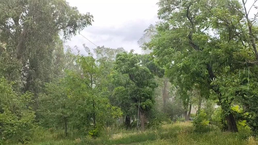 ������ ��������� �� �������