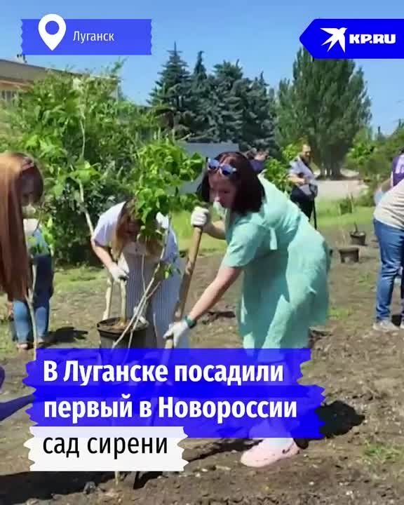 ������ ������: � ���� ������ � �������� �������� ������ ��� ������ � ����������