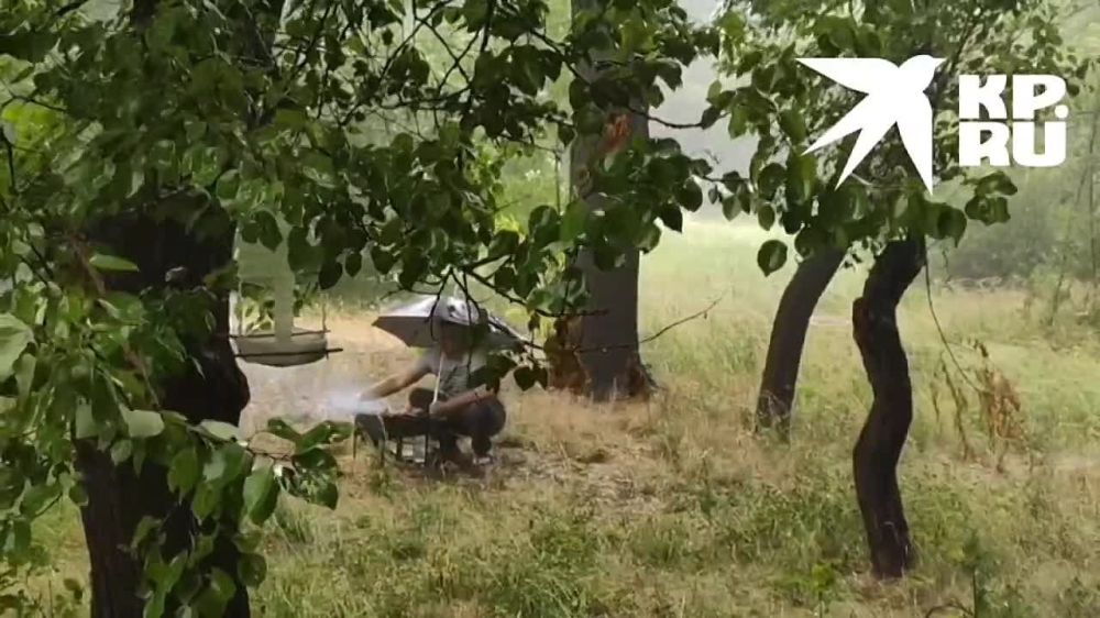 ������ ��-��������. ������������ �� @kp_lnr