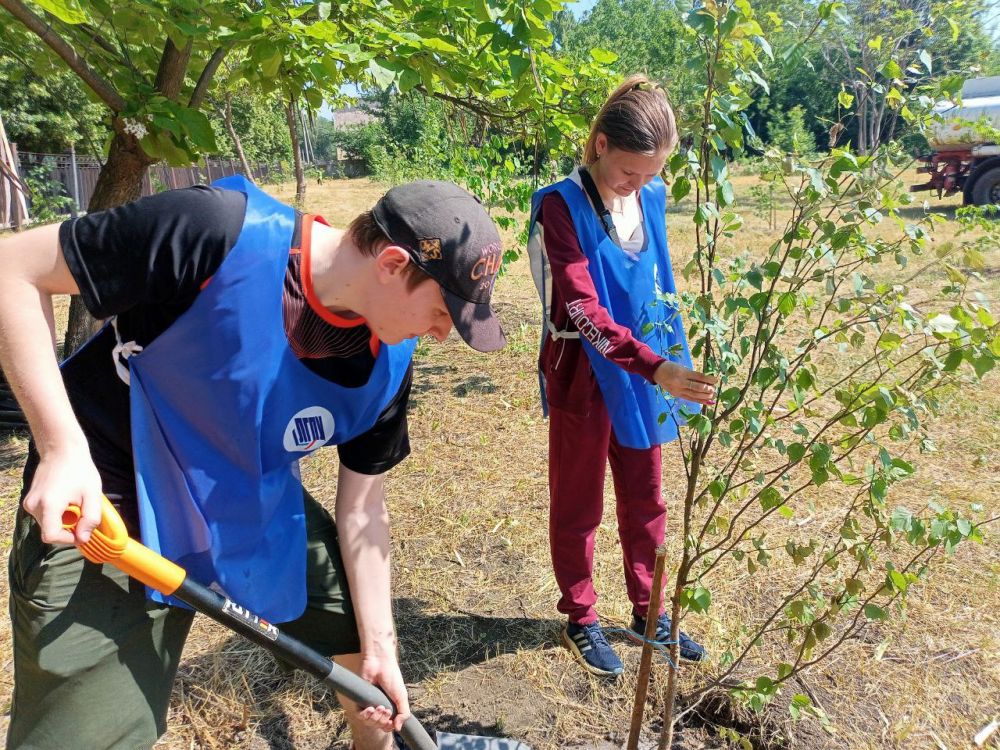 Сегодня в будущем Луганском ботаническом саду высажены молодые липы