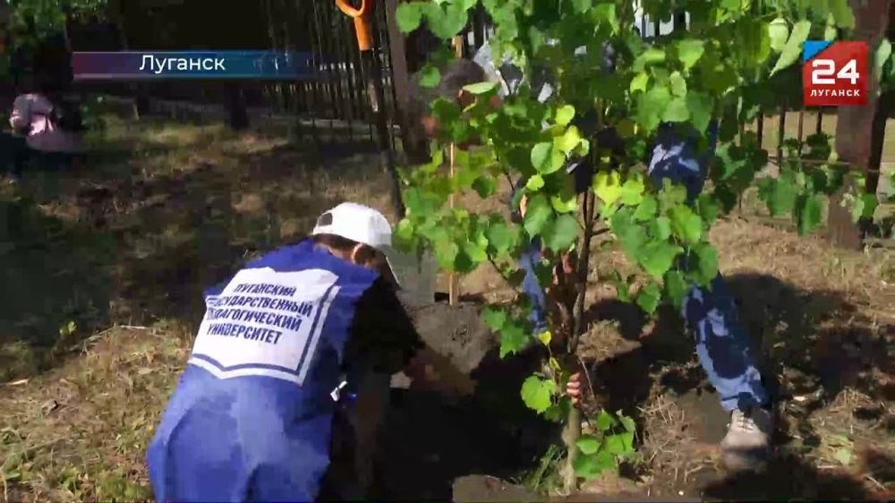 � �������� �������� ����� ������������ ���