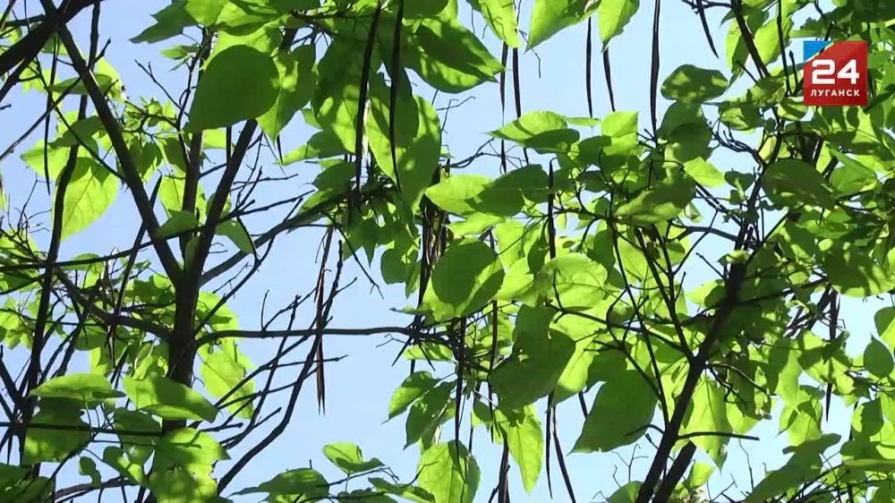 � �������� �������� ����� ������������ ���