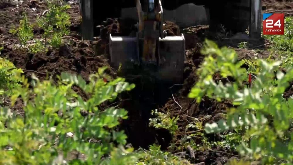 ����� ����� �������� �������������� �������� � ��������