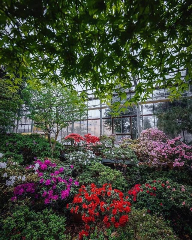 ������� � ������� ��������� ������������ ���� �������� ������� ����