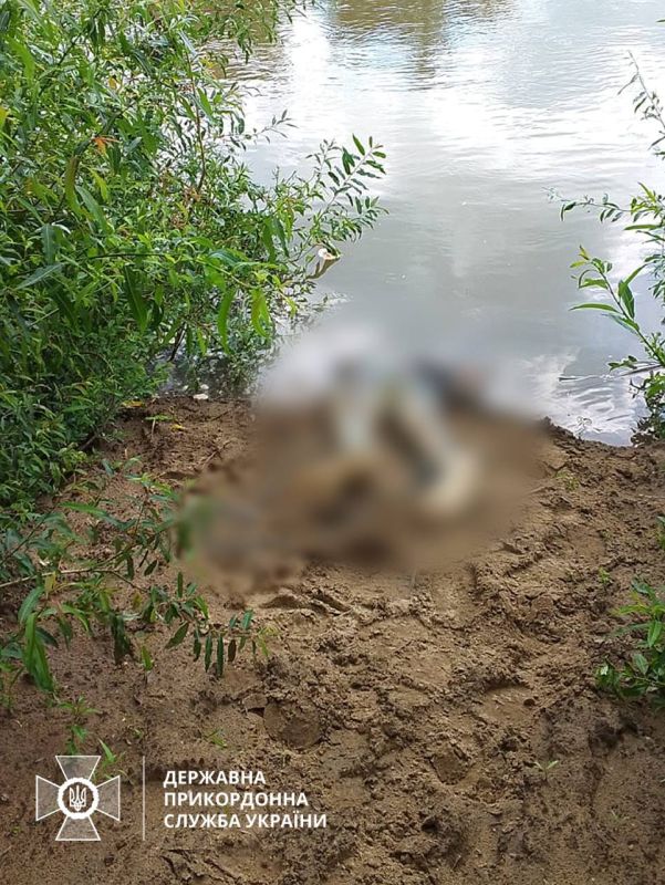 �� ������� ������������ ������ �������� ������