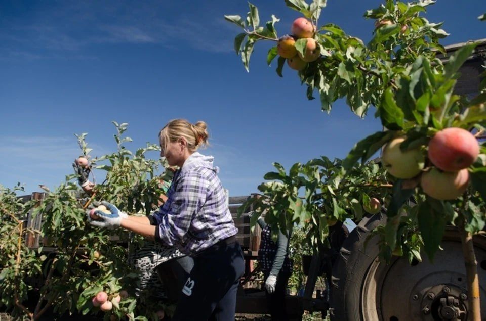 ������������ ��� � ������� ����������� �������� � ��������