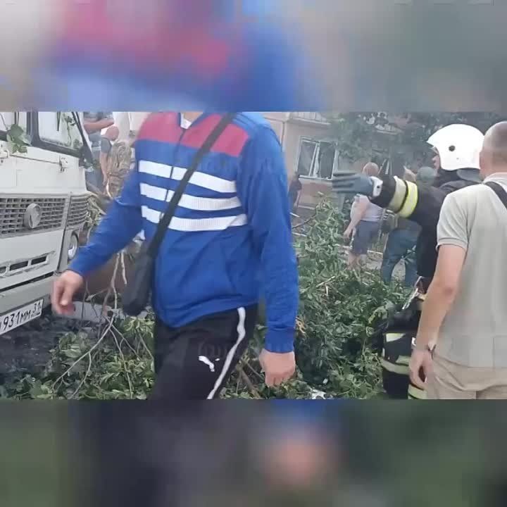 � ���������� �������� �� ������� �������� �������� ��������� ��������� �������� � ����� ���� � ��������, ������������ �������