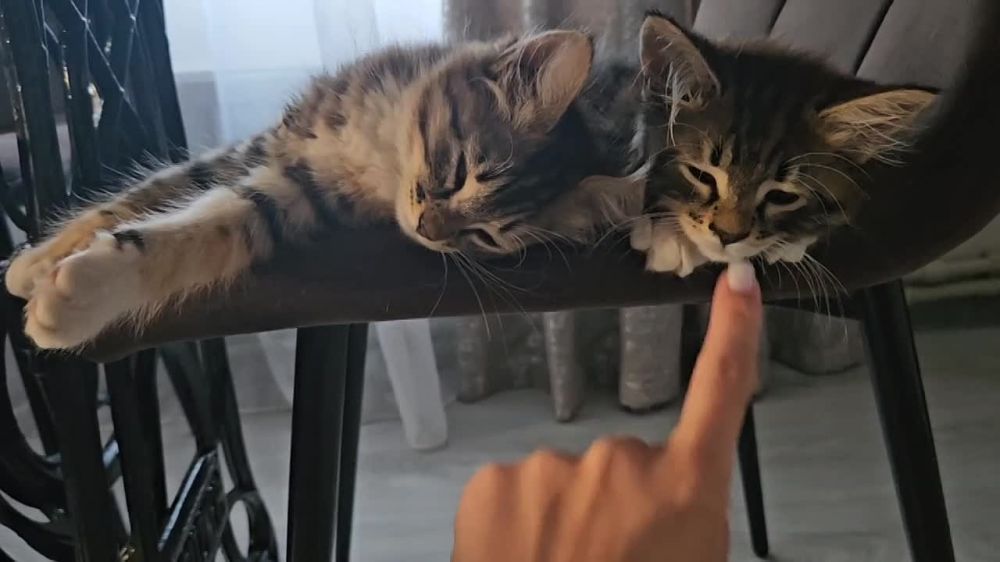 ������ ������� ������ ����������!