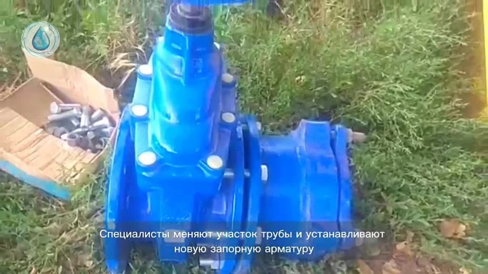 "�����������" ��������� � "��������������" ��������� ����������� ����������� � �������� �� ����������� ��. ���������� � ���