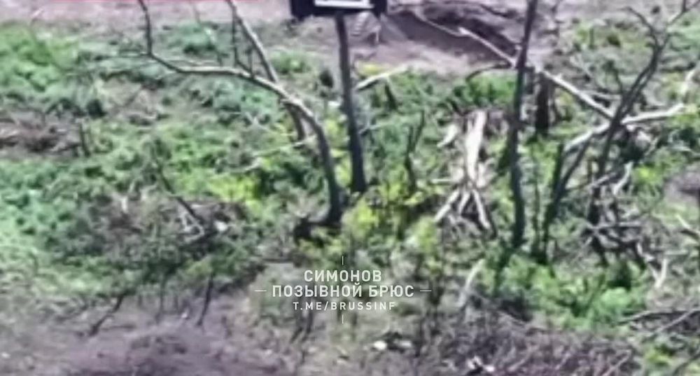 ������� ����� �������� ������� �����