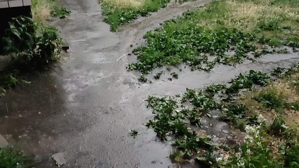 ����� � ��������. � ������ �������� �����. ����, ������ � ������ ���� �� ������ ��������