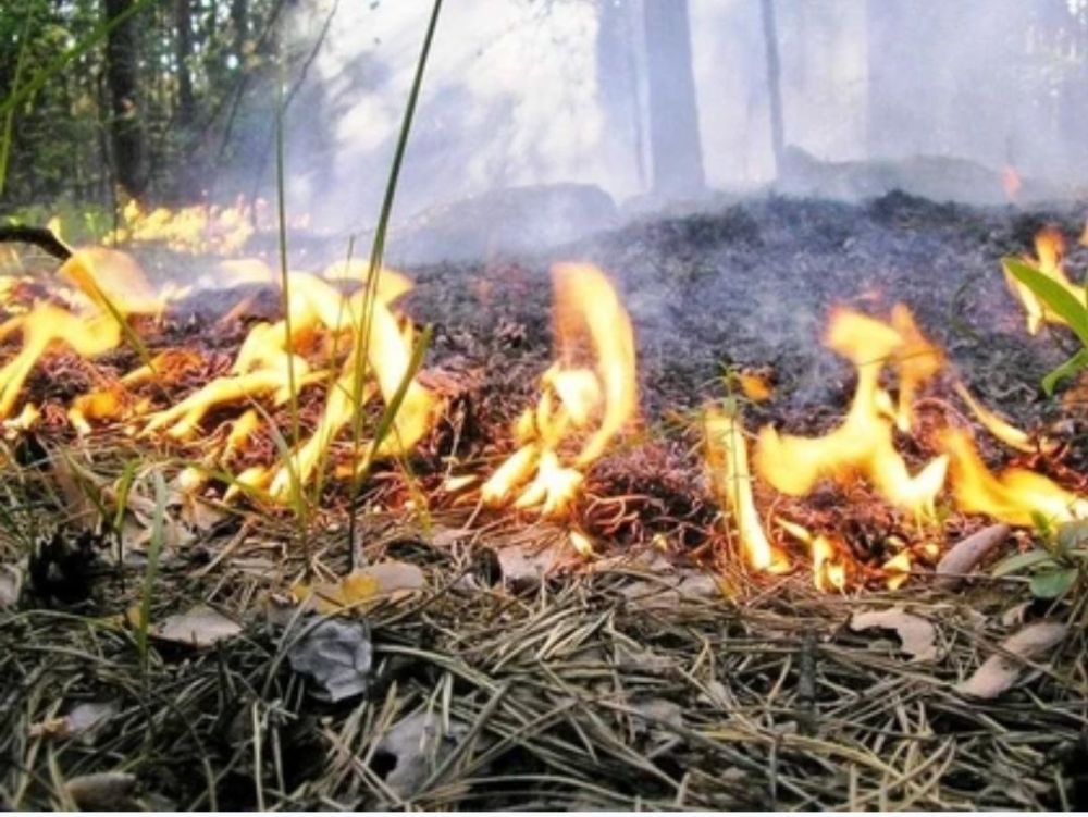 ������������ ��������������� �� 16 ���� �������� � ���