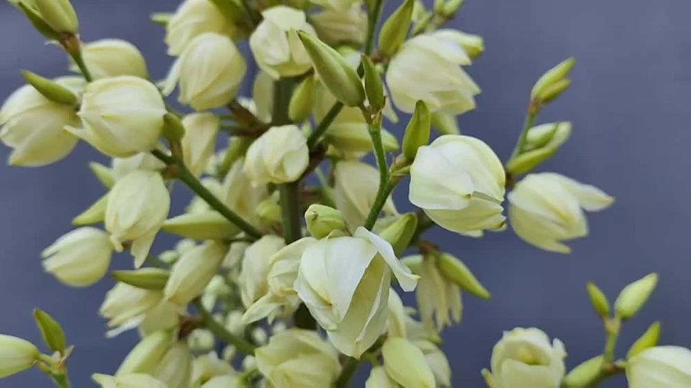 ���� � ��������. ����� ��������� ���� ��������� � ��������