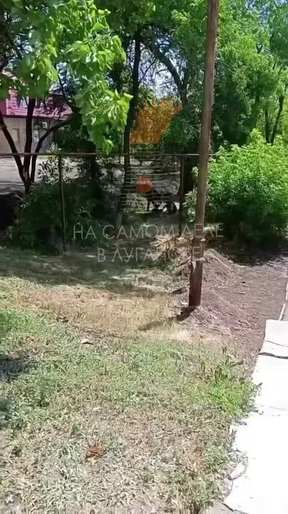 ��� ����� "������" ����� ����������� � �������� ��� � ��� � ����������