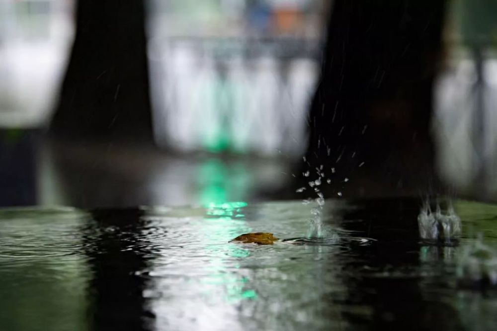 ������ �� ����� ����������� ������