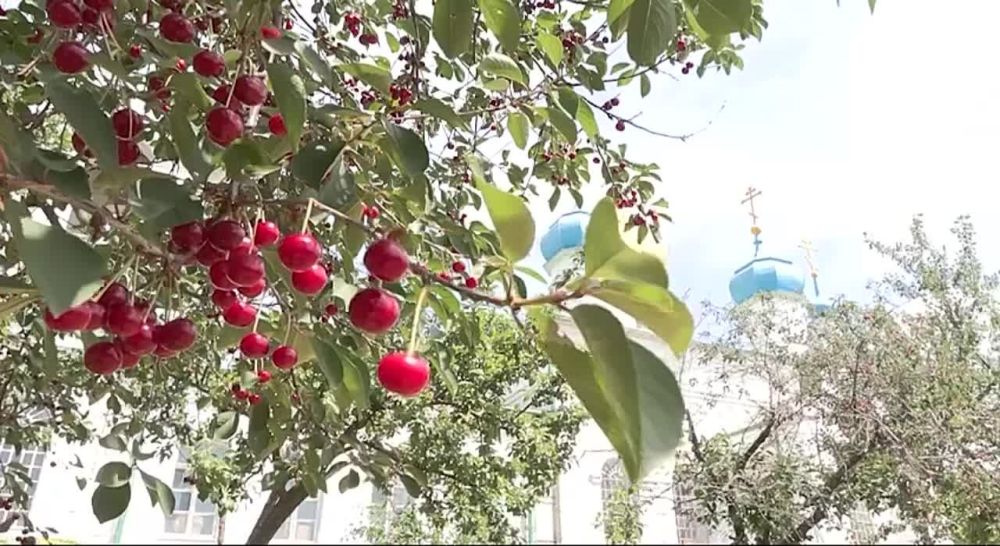 ������������� �������� � ������������ ������ � ����� ������������� ����, ��� ����� ������������