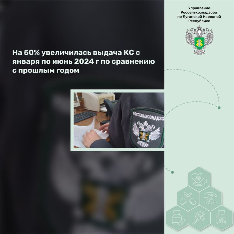 �� 50% ����������� ������ �� � ������ �� ���� 2024 � �� ��������� � ������� �����