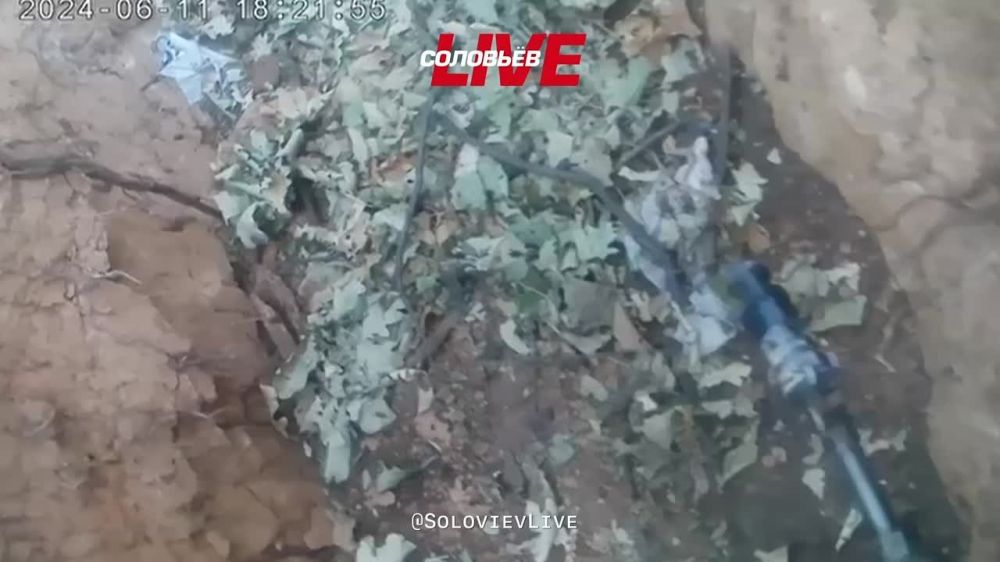 ������� ���� ��� ���� ����� � ���� �� ����� ������ ������� ���������� ��������� "�����"