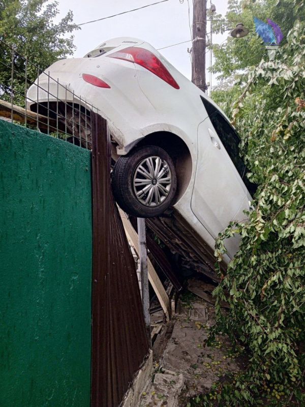 ���������� ���� �� ������: 7-� ����������� ������ � �������� ���� ������� �����