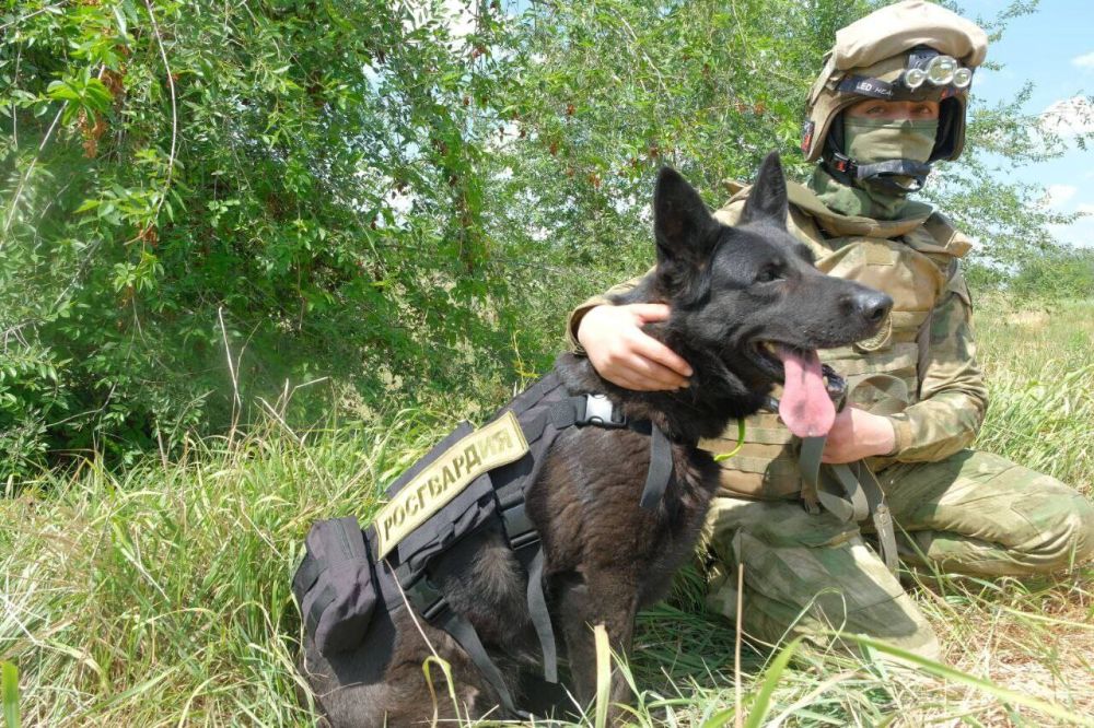 � ��������� �������� ���������� ������ ���������� ���������� �������������� ������������� ����������, ��� �� ��� � ����������